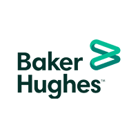 Baker Hughes - Wildcat Championship Belts