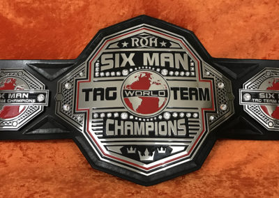 ROH 6 Man Tag Team Title