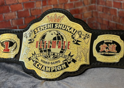 Gathering of Warriors Video Game Champion