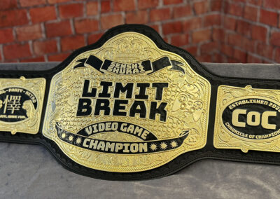 Limit Break Video Game Champion