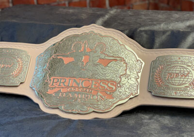TJPW Princess Tag Team Champions