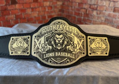 South Fayette Lions Baseball